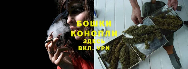 тгк Корсаков