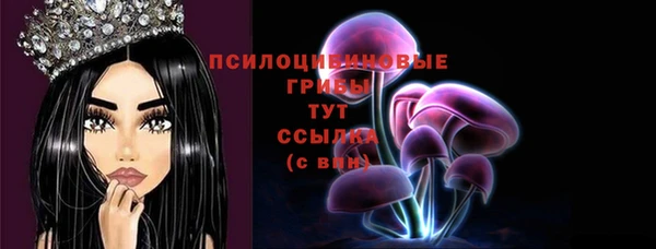 тгк Корсаков