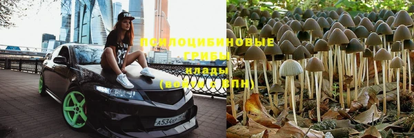скорость Костерёво