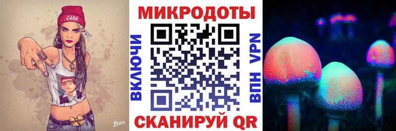 Купить  Пудож  Псилоцибиновые грибы MAGIC MUSHROOMS 