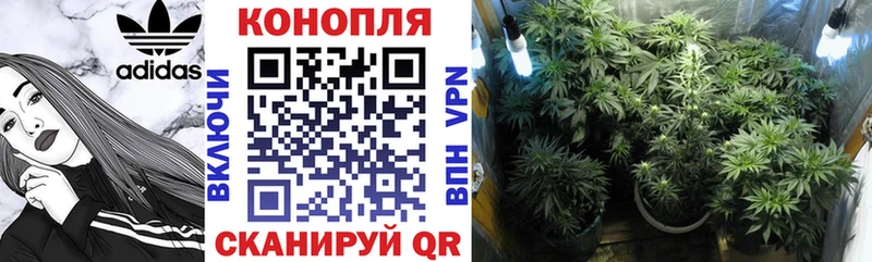 Каннабис индика  Купить закладки  Пудож 